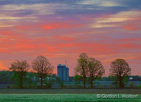 Silos In Sunrise_49102-3.jpg - Photographed near Carleton Place, Ontario, Canada.